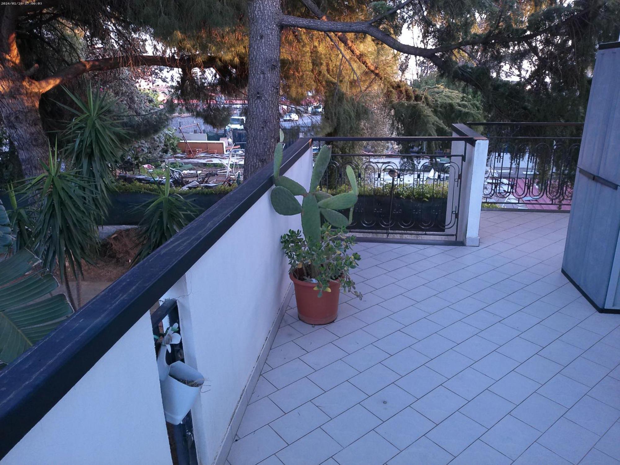 Greenhouse Mascalucia Bagian luar foto